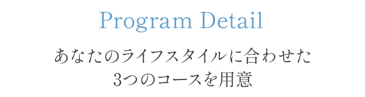 プログラム詳細